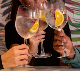 a close-up of young friends toasting with their glasses tropical background