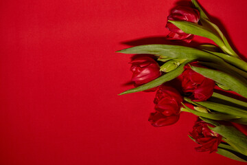 Bouquet of red tulips. Concept for Valentine's Day, womens day and other romantic events. Top view, close-up, flat lay