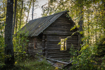 Fototapeta na wymiar Russia. Leningrad region. The setting for the film is in the form of an abandoned hut in the forest.