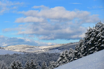 Winter auf der Alpe