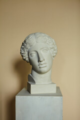 White gypsum statue head. Plaster head bust.