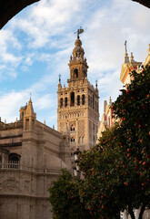 Fototapeta premium Vista de la giralda y la catedral de Sevilla