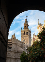 Vista de la giralda y la catedral de Sevilla