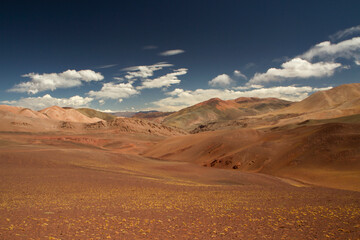 Fototapeta na wymiar Desert landscape high in the Andes mountain range. View of the dunes, brown land and colorful mountains in Laguna Brava, La Rioja, Argentina.