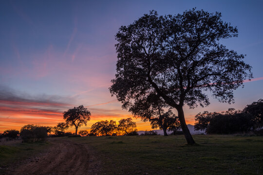 paisaje atardecer a contraluz 
