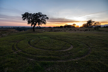 paisaje atardecer a contraluz 