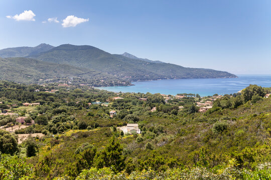 Landscape near Procchio, northern coast, Elba, Tuscany, Italy