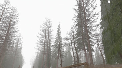Fototapeta na wymiar 3d render of a mystical forest in the daytime in fog