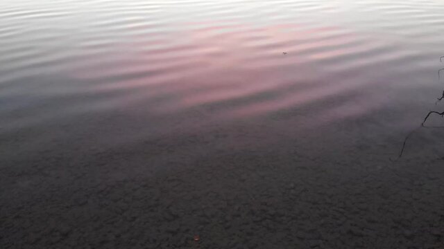 Staffelsee lake in Germany Bavaria recorded in the afternoon twilight flying over the lake with a DJI drone in 4k with ND filters.
Drone panning up to discover lake