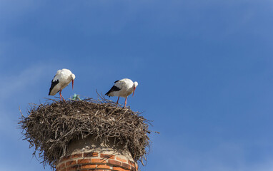 Storks On The Chimney, Portimao, Algarve, Portugal