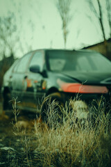 Broken Car In Post Apocalyptic City