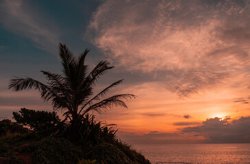 Fototapeta na wymiar Palma na wzgórzu na tle oceanu i zachodzącego słońca na pochmurnym niebie.