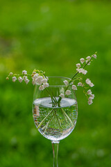 Lily of the valley flowers in a glass with water on a green lawn background.