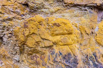Sharp detail of a yellow and purple rock