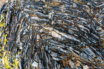 Abstract shapes formed by rocks
