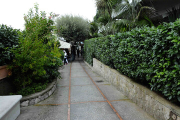 path in the garden
