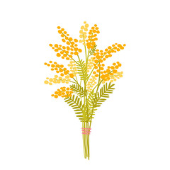 Bouquet of yellow mimosa isolated on white background. Beautiful spring flowers. March 8. International Women's Day. Vector illustration in flat style.