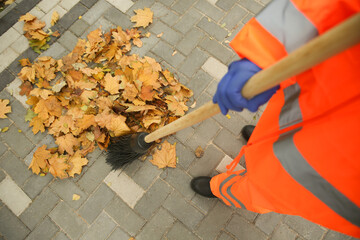 Street cleaner sweeping fallen leaves outdoors on autumn day, closeup