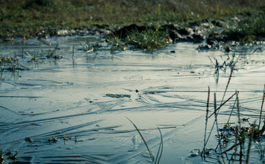 The puddle and swamp are covered with ice
