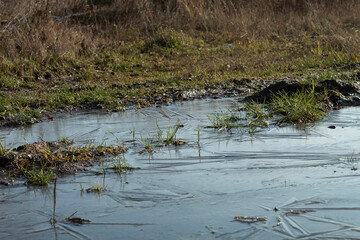 The puddle and swamp are covered with ice