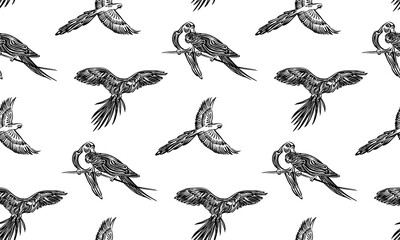 Seamless hand drawn corella parrot outline sketch pattern. Endless vector black ink tropical bird drawing isolated on white background. Stylzed graphic wild animal illustration © Ekaterina