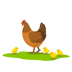 the hen walks on the green grass with her chickens. vector illustration