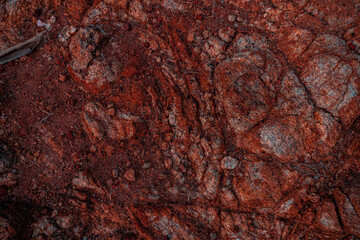 Ciemne fioletowo czerwone kamienne tło, tekstura pełna szczegółów. © insomniafoto