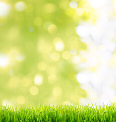 Fototapeta na wymiar Natural green grass on bokeh and rays with sunlight and blurred greenery background in garden with copy space. Safe world and ecology concept.