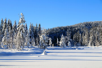 Lac de Lispach dans les Vosges