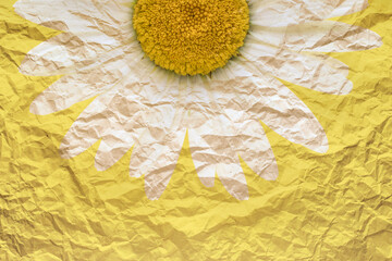 Core of a chamomile lies on crumpled paper with a picture of petals