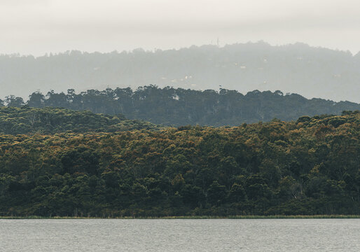 The beautiful layers of nature from water to trees and the sky.