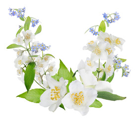 design with pure white jasmine and small blue blooms