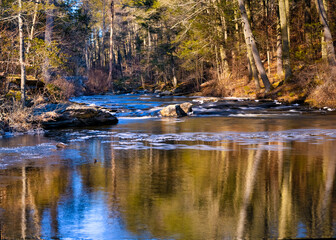 Fototapeta premium A photograph of a stream running through a forest with colorful reflections of the surrounding trees.