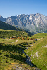paysage d'alpage dans la Parc de la Vanoise, Savoie, France
