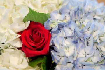 Obraz premium Flowers 2