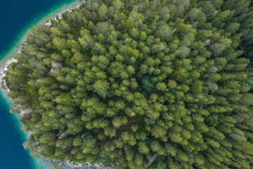 Aerial overhead drone shot of pathway through forests by Eibseelake in Germany summer