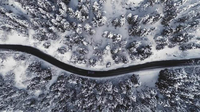 Aerial top view of asphalt road in high mountains. Winter forest with snow, foggy weather. Drone flying over road, single car driving 