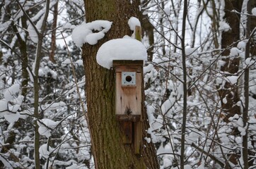 Domek dla ptaszków zimą