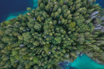 Aerial overhead drone shot of pathway through forests by Eibseelake in Germany summer