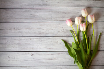 Spring tulip flower composition on wooden background. Overhead view