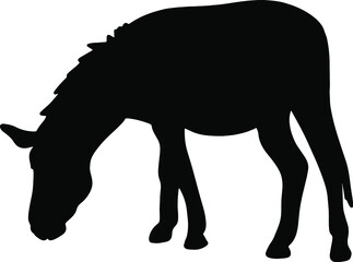 Icon of donkey silhouette. Black vector illustration of farm animal	
