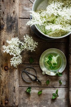 Saucepan with fresh&not;&dagger;elderflowers&not;&dagger;and cup of&not;&dagger;elderflower&not;&dagger;tea with mint