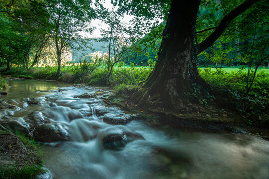 Stream amidst forest in Swabian Alb mountain, Germany