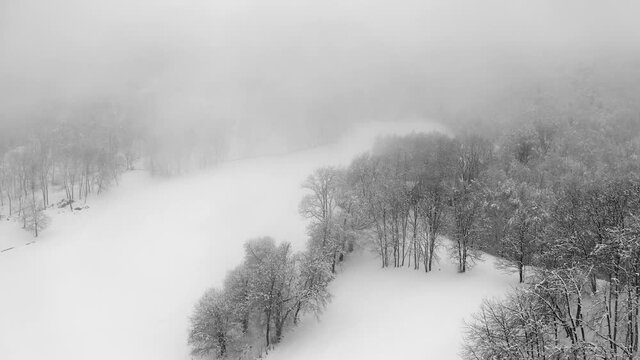 Aerial view of a frozen forest with snow covered trees at winter during foggy day. Flight above winter forest in Italy during winter storm, top view.