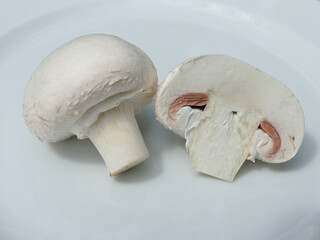 Champignon