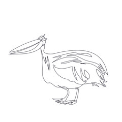pelican bird line one line vector illustration