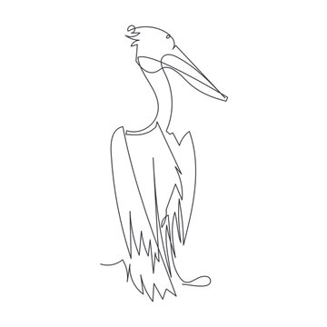 recommend clip art: pelican bird line one line vector illustration