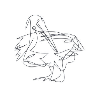 recommend clip art: pelican bird line one line vector illustration