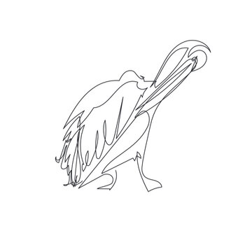 recommend clip art: pelican bird line one line vector illustration