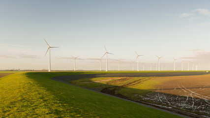 wind turbines in the field